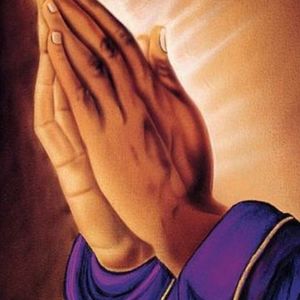 Meet your Posher, Dianne